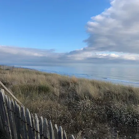 Le Bonheur A La Mer